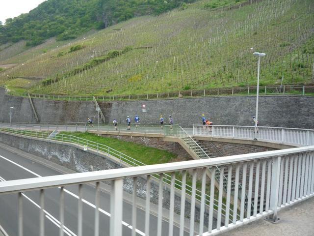 HappyMosel-06.jpg