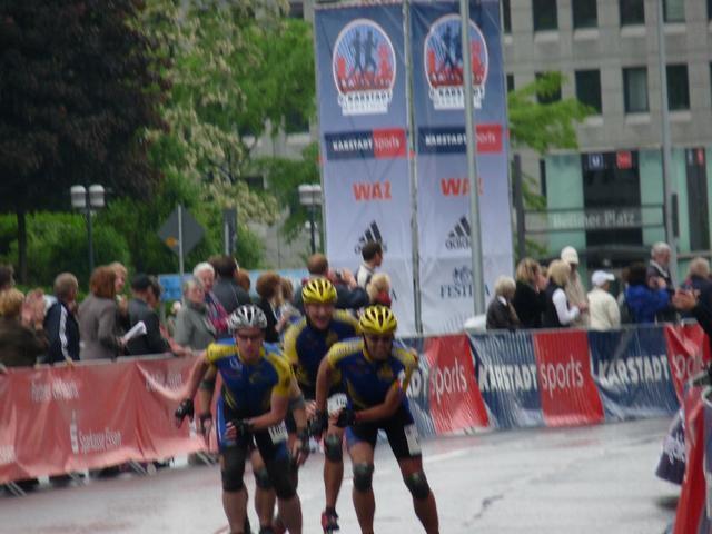 P1020969.JPG
