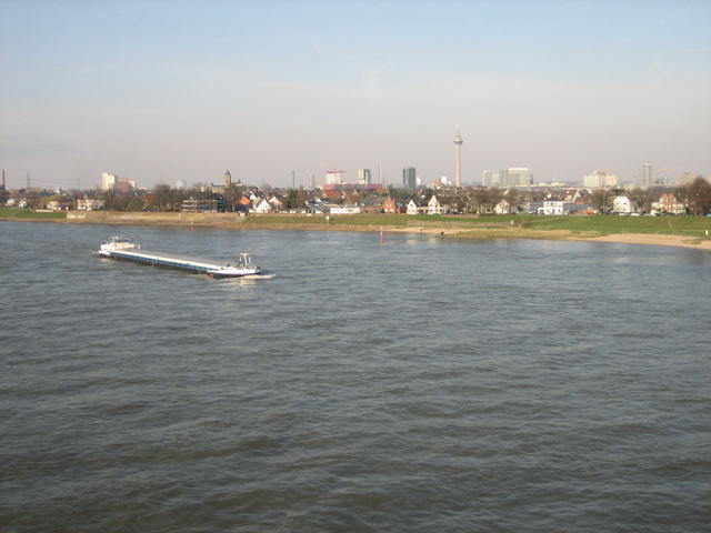 IMG_2890.jpg