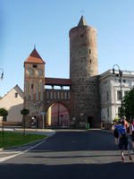 DSCN8113