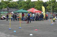 IMG_8698