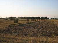 IMG_4574_(1024_x_768)