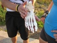 IMG_4583_(1024_x_768)