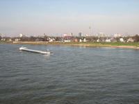 IMG_2890.jpg